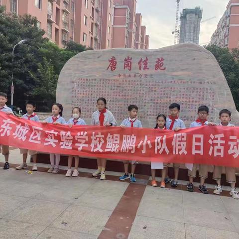 节能减碳 你我同行许昌市东城区实验小学四年级三班鲲鹏小队假日活动