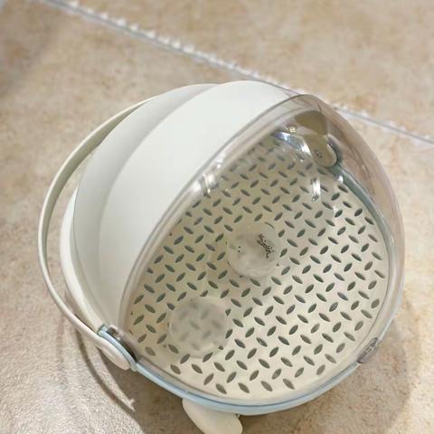 养蚕日记：见证生命的奇妙蜕变