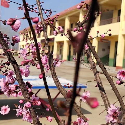 展笔记风采，树学生榜样——鲁西新区马岭岗镇朱桥小学举行读书笔记展览（副本）