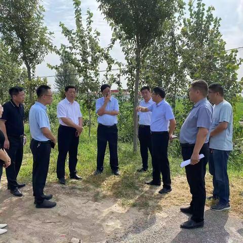 我中心参加定陶区S251（定陶段）路域环境提升现场推进会