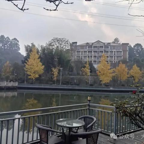 血脉相连凝共识，砥砺奋进谱华章 一—四川梁亲联谊会在宜宾圆满落幕