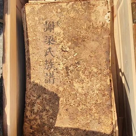 言之有理的建议