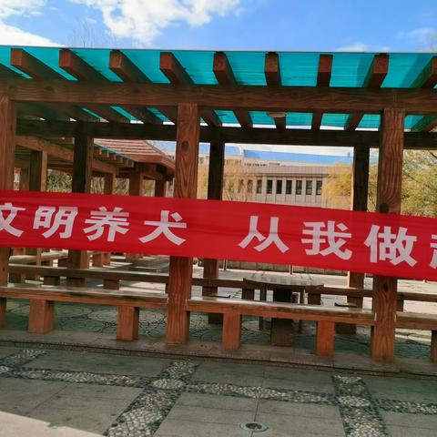 【下花园区执法局城管大队】牵好“文明绳”，养犬“不掉链”