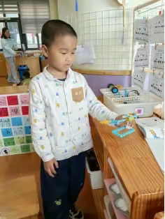 《神奇的平衡鸟——大班科学探索之旅》