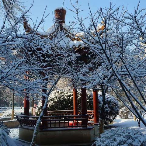 大雪如约而至，建行服务依旧暖心