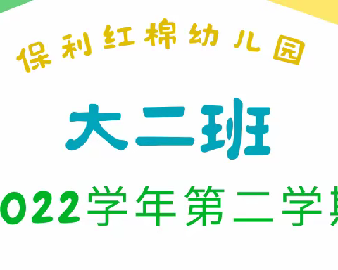 2022第二学期保利红棉幼儿园——大二班武术汇报