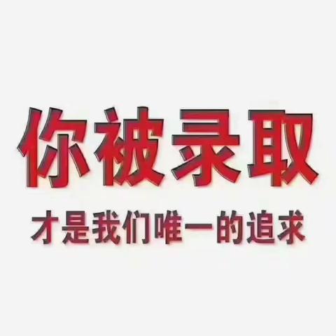 2024山东高考数据分析