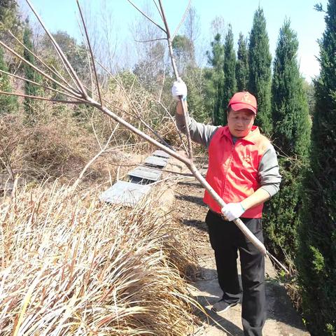 清明节前夕：社区支部书记带领社区两委与城管队开展公墓环境整治活动