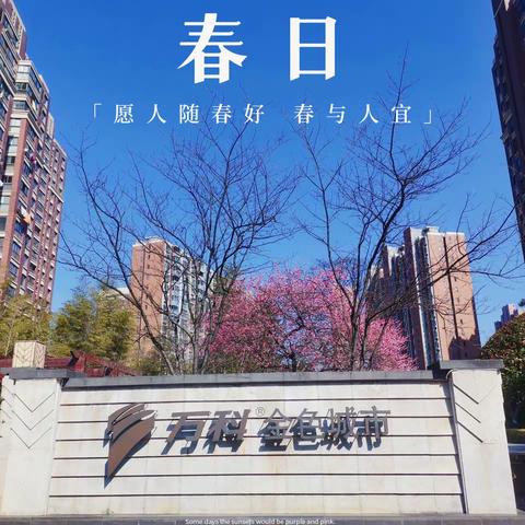 金色城市2月月度服务报告