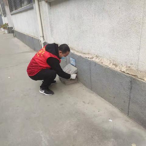 天冷老鼠“爱串门” 灭鼠防治“有三招”—巩义市杜甫路街道宋园社区开展冬季灭鼠志愿服务活动