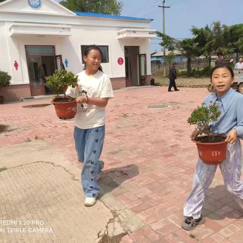 绽放劳动之花  遇见美好成长 --通河县祥顺镇中心校开展栽花主题劳动实践活动