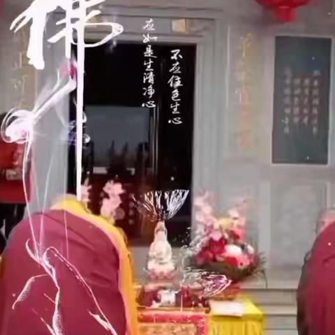 放生获吉祥 诸事皆圆满