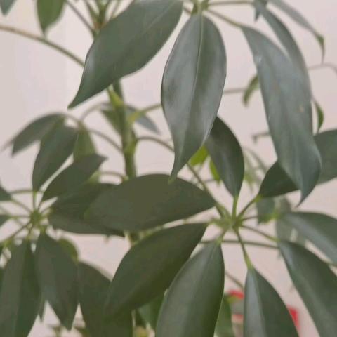 欢度六一 童趣时光