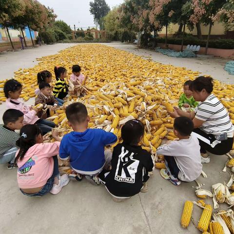 “厉行节约、制止浪费”——瓦子丘幼儿园粮食安全宣传周活动