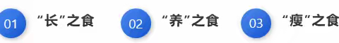 食之有方▪小学部2021级1班项目化学习