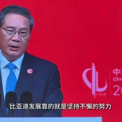 比亚迪：长期主义造就的品牌力量与市场信任。