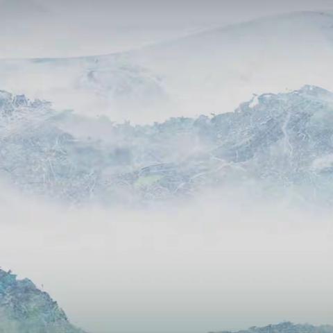 兔年钜惠！九稻藏品五年刮奖活动重磅来袭！