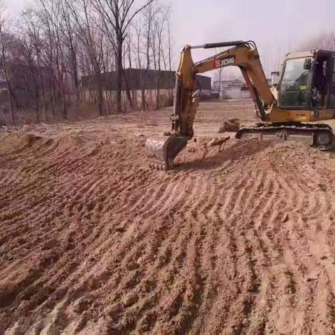 陈集镇：党建引领强力推进耕地图斑整改工作