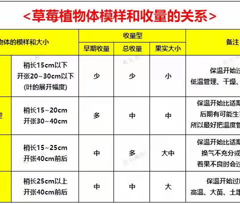 掌握草莓产量和长势的模型图，开启丰收之旅