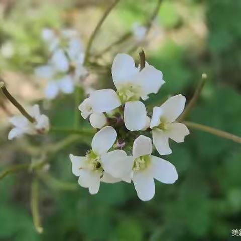 阜纺社区卫生服务中心免费"两癌"筛查进行中