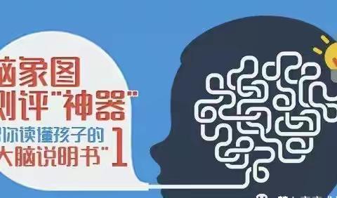 脑象图测评——给你一份养娃说明书