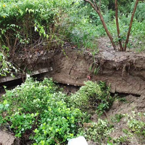 【西三旗街道沁春家园社区】西三旗街道领导带队冒雨抢修路面塌陷