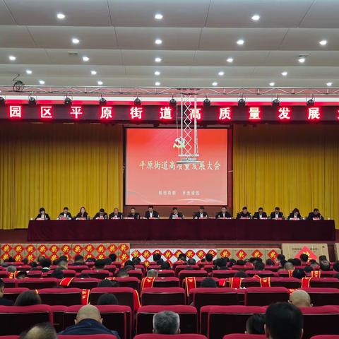 开新篇   创新局   启新程 平原街道隆重召开高质量发展大会