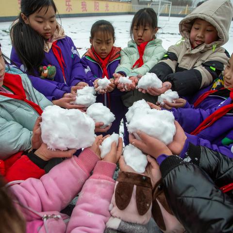 雪花纷飞  快乐无限