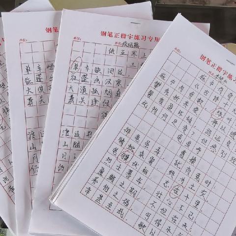 深耕常规赋能当下 厚积薄发共育未来