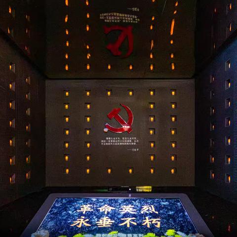 党员"专题实践”活动