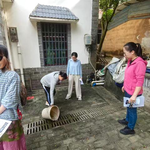 那大镇石屋村组织开展环境卫生大扫除活动