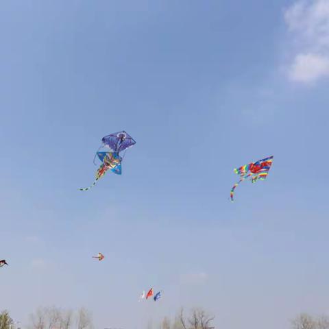 “筝舞蓝天，放飞梦想”———睢宁县第二中学（东校区）风筝节活动