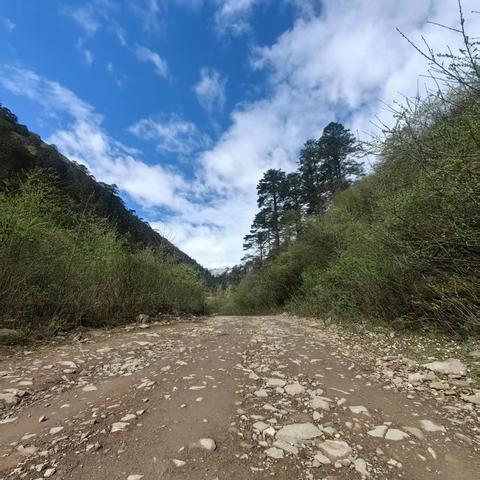 穿越川西脊梁 石棉至九龙的生命线征途