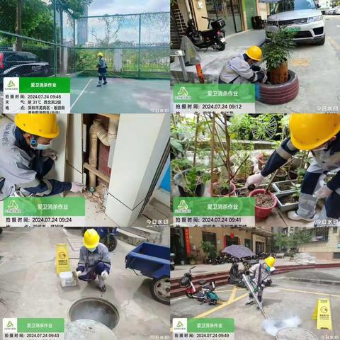 【坂田街道】2024年7月第4周爱卫消杀工作简报