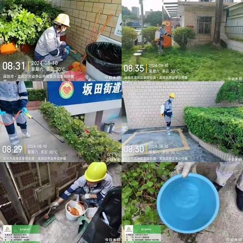 【坂田街道】2024年8月第2周爱卫消杀工作简报