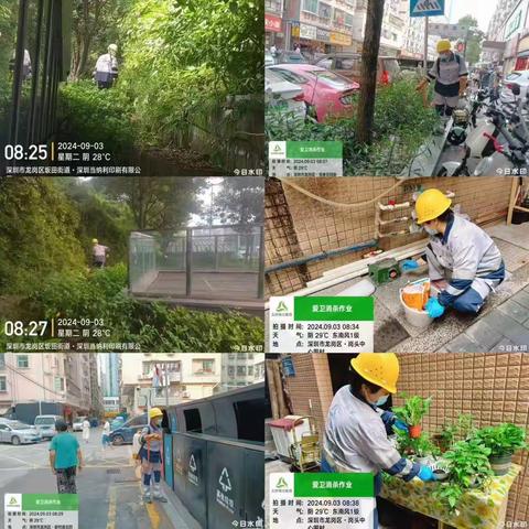 【坂田街道】2024年9月第1周爱卫消杀工作简报