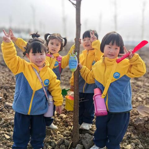 每一步·都算“树” 机关园西城分园3.12植树节