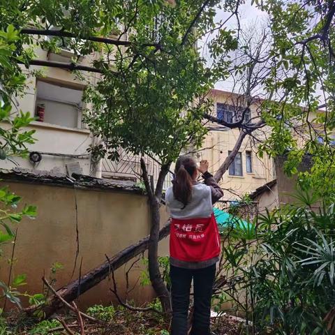 杨思岭社区：风雨中的坚强后盾，守护居民平安