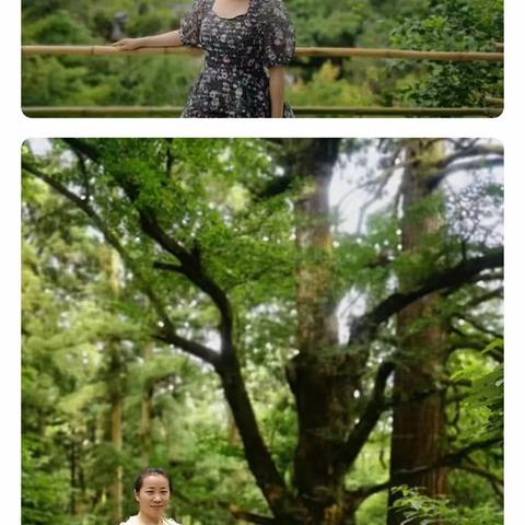 【名师风采，点亮未来】 临河一中优秀教师风采集29