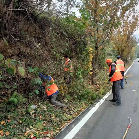 农村公路服务中心本周工作动态（11.11—11.15）
