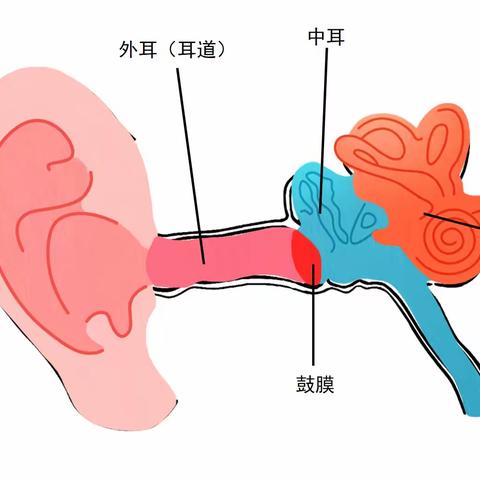 爱耳护耳 聆听美好