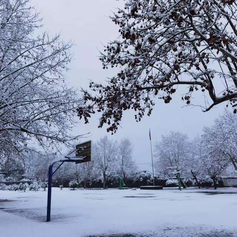 雪霁天晴朗 家访在路上—记青云中学2024年寒假“万师访万家”活动