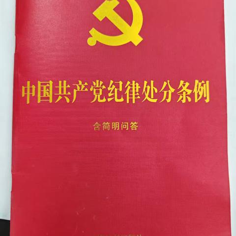 “知史爱党守初心，砥砺奋进新作为”——哑柏镇新区社区开展七一建党节系列活动