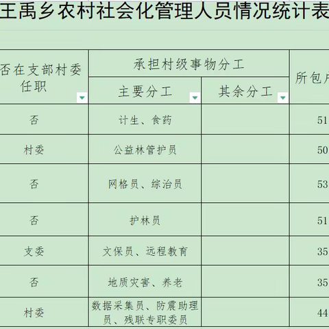 王禹乡罗汉村社会化管理人员岗位职责