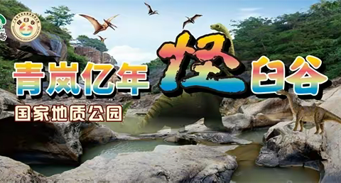 中国人民保险&饶平青岚国家地质公园-“春天有约 最暖笑容”摄影评选活动