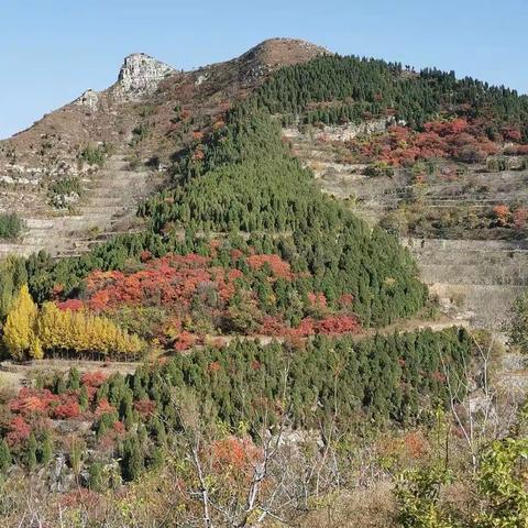 故乡布站村，一个渐行渐远的小山村