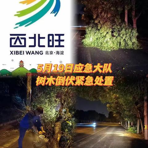 西北旺镇应急抢险大队处置突发险情