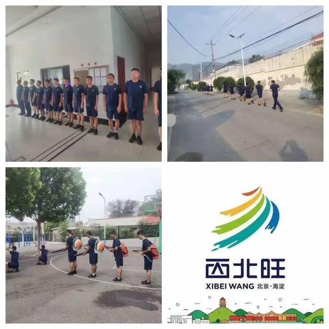 西北旺镇城乡建设办公室6月工作动态（第二周）