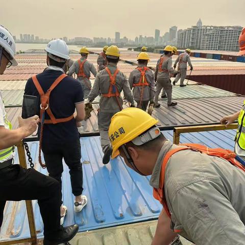 国际港务海口港区开展防台应急训练