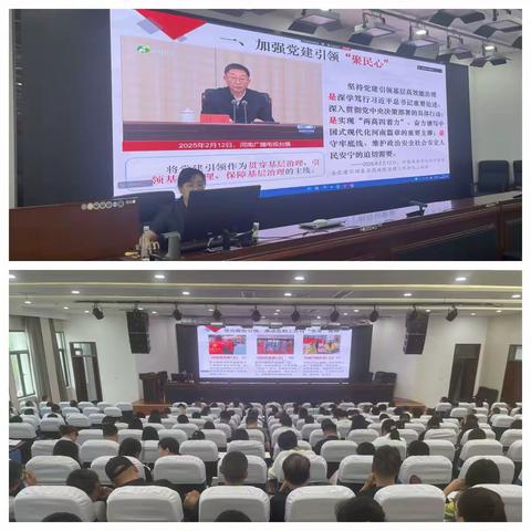 洛宁县举办党建引领基层高效能治理专题培训